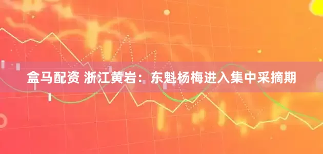 盒马配资 浙江黄岩：东魁杨梅进入集中采摘期