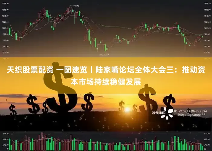 天织股票配资 一图速览丨陆家嘴论坛全体大会三：推动资本市场持续稳健发展