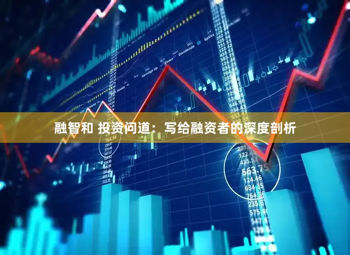 融智和 投资问道：写给融资者的深度剖析