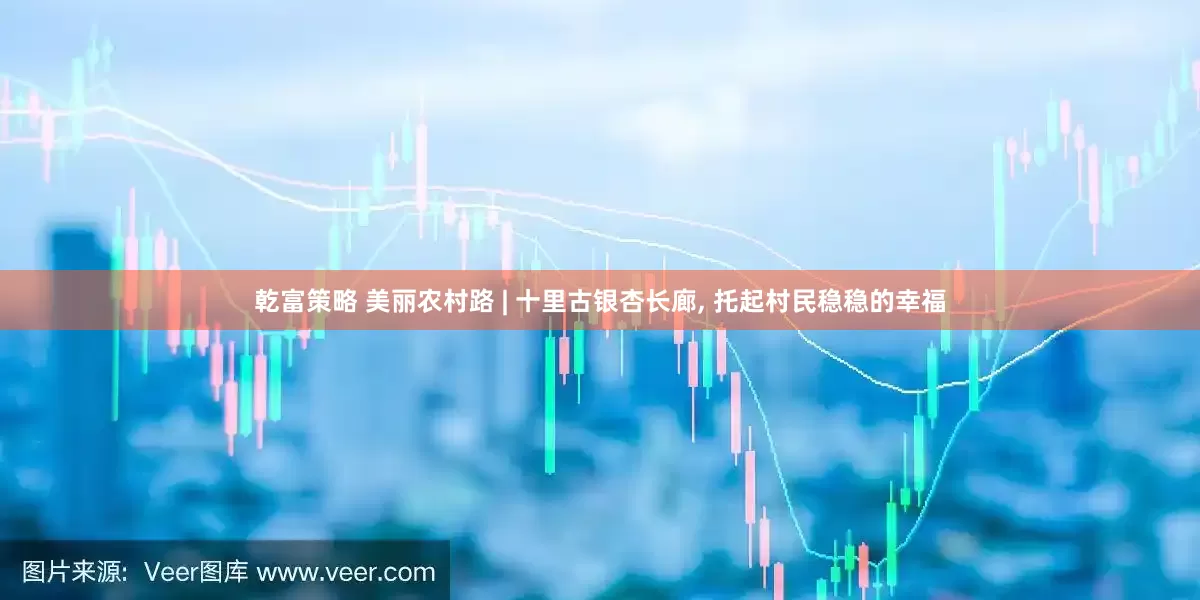 乾富策略 美丽农村路 | 十里古银杏长廊, 托起村民稳稳的幸福