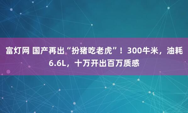 富灯网 国产再出“扮猪吃老虎”！300牛米，油耗6.6L，十万开出百万质感