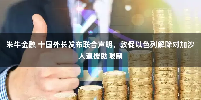 米牛金融 十国外长发布联合声明，敦促以色列解除对加沙人道援助限制